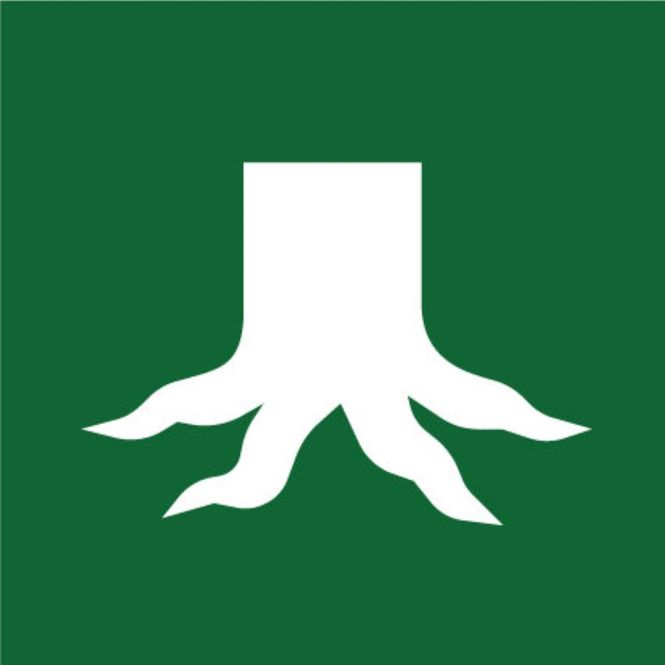 Hovedbilde Røtter